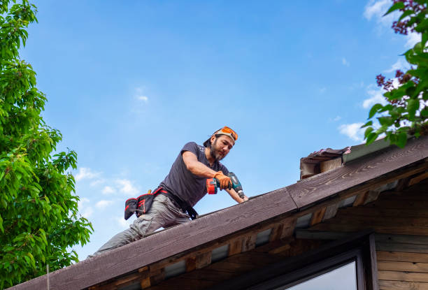 Best Green or Eco-Friendly Roofing Solutions  in Brandon, SD