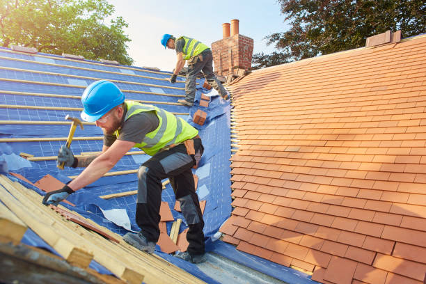 Best Roof Insulation Installation  in Brandon, SD